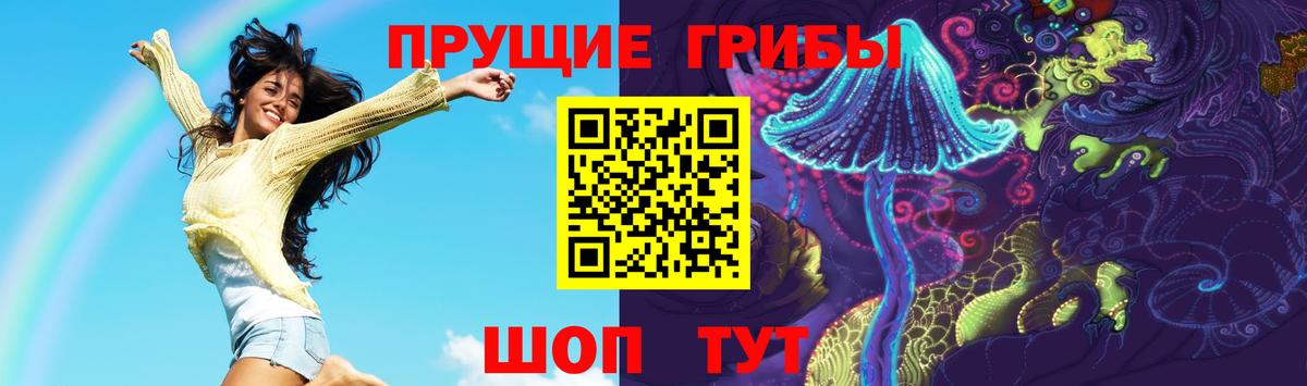 Псилоцибиновые грибы Psilocybine cubensis  Вход с VPN  Коломна 